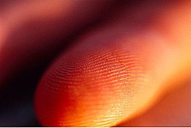 《风来的希炼6》官方提醒 游戏仍在开发先别急着雪藏